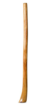 Gloss Finish Flared Didgeridoo (TW1190)